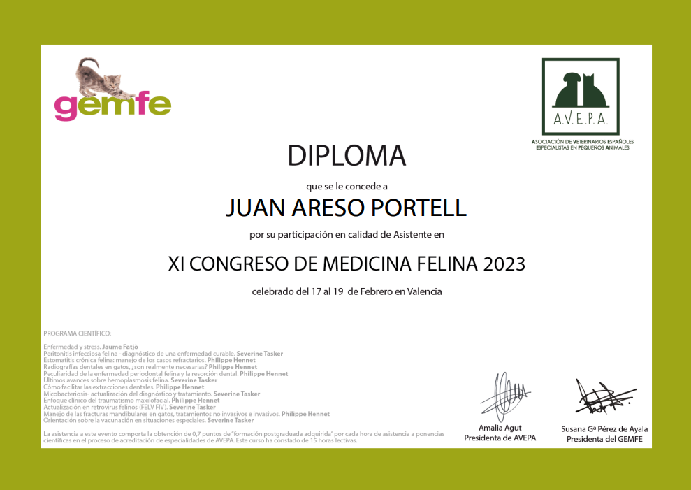diploma_juan.png